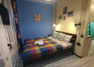 Сдаю 1-ком. квартиру, 21 м2, Санкт-Петербург, 11-я линия Васильевского острова, 40