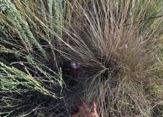 Продажа участка, 6 сот., Элиста, Ковыльная улица