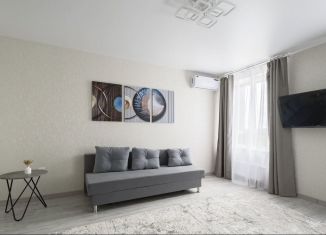 Продается 1-комнатная квартира, 29.5 м2, Казань, улица Гавриила Державина, 4к1