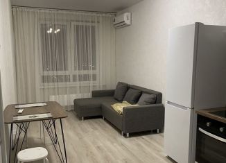 Сдам в аренду 2-ком. квартиру, 45 м2, Краснодар, микрорайон Любимово, 5