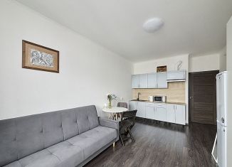 Продается квартира студия, 24.5 м2, Санкт-Петербург, Арцеуловская аллея, 21, ЖК Чистое Небо