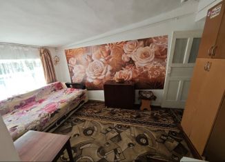 Аренда дома, 30 м2, Крым, Центральная улица, 6