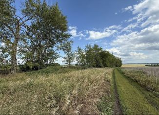 Продается земельный участок, 12.5 сот., деревня Байрак, Фёдоровский тракт