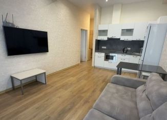 Сдаю в аренду 1-комнатную квартиру, 48 м2, Сочи, Крымская улица, 89