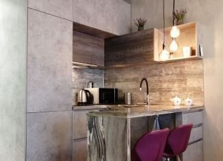 Сдаю квартиру студию, 30 м2, Новгородская область, Колмовская набережная, 83