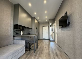 Сдаю квартиру студию, 25.9 м2, Новосибирск, Московская улица, 75, Октябрьский район