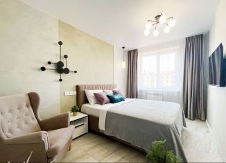 Аренда 1-комнатной квартиры, 42 м2, Ростов-на-Дону, Тибетская улица, 1Бс1