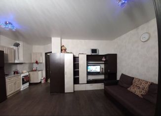 Сдаю 1-ком. квартиру, 40 м2, Ростов-на-Дону, улица Еляна, 68