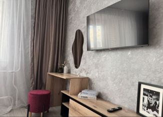 Сдается квартира студия, 35 м2, Благовещенск, Заводская улица, 4/5