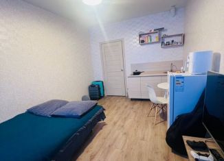 Продаю квартиру студию, 23 м2, Пермь, Уинская улица, 68