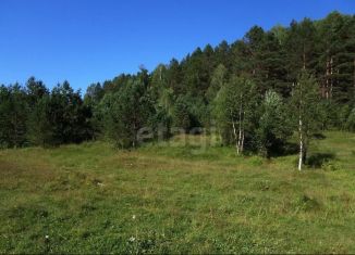 Продажа земельного участка, 35 сот., Республика Алтай, Совхозная улица