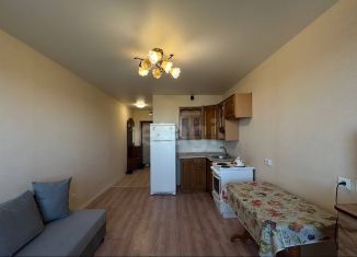 Аренда квартиры студии, 20 м2, Тюмень, улица Тимофея Чаркова, 28, ЖК Новый Мыс 3.0