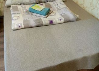 Однокомнатная квартира в аренду, 29 м2, Вельск, улица Некрасова, 24Б