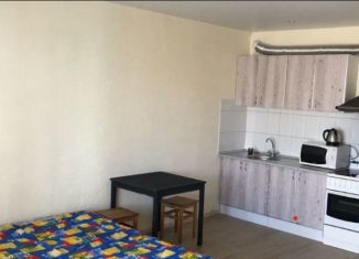 Квартира в аренду студия, 32 м2, Новосибирск, Плющихинская улица, 3, Октябрьский район