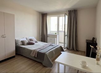 Сдам в аренду квартиру студию, 27 м2, Мурино, проспект Авиаторов Балтики, 3