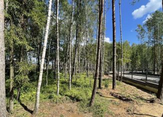 Продам участок, 25.1 сот., деревня Тимошкино