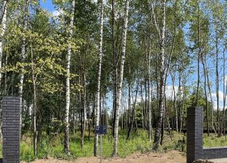 Продажа участка, 21.4 сот., деревня Тимошкино