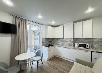 Сдам квартиру студию, 20 м2, Сочи, Молодогвардейская улица, 2/101, микрорайон Соболевка