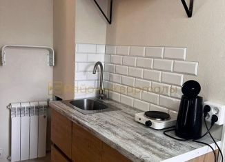 Продам 1-ком. квартиру, 13.5 м2, Новосибирск, улица Дениса Давыдова, 1/2