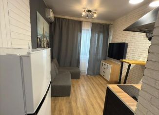 Аренда квартиры студии, 24 м2, Ростов-на-Дону, улица Пановой, 30к2