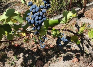 Продажа дома, 30 м2, Краснодарский край, Коммунистическая улица, 45