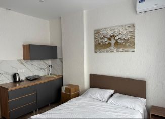 Квартира на продажу студия, 23.2 м2, Троицк, Городская улица, 20