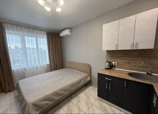 Аренда квартиры студии, 25 м2, Республика Башкортостан, улица Шафиева, 44/1