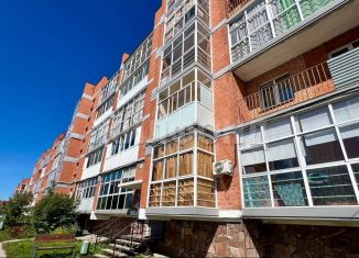 Продажа однокомнатной квартиры, 43.7 м2, рабочий поселок Маркова, микрорайон Берёзовый, 154