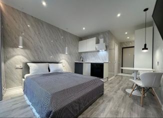 Продажа квартиры студии, 20 м2, Екатеринбург, Чкаловский район, микрорайон Светлый, 11