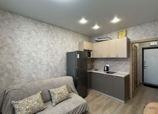 Квартира в аренду студия, 24 м2, Ростов-на-Дону, улица Нансена, 83с3