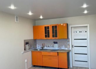 Продается квартира студия, 24.9 м2, Искитим, микрорайон Южный, 57