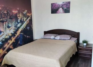 Сдаю квартиру студию, 32 м2, Пенза, улица Генерала Глазунова, 13