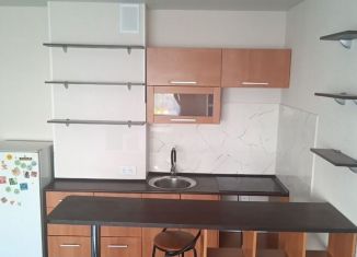 Сдается в аренду квартира студия, 30 м2, Новосибирск, улица Татьяны Снежиной, 51, Октябрьский район