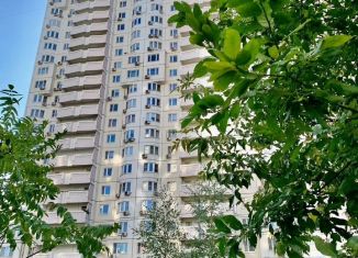 Аренда однокомнатной квартиры, 55 м2, Москва, Кастанаевская улица, 45к2