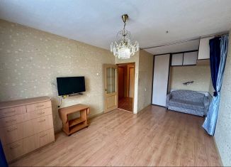 Продается 1-комнатная квартира, 32.9 м2, Екатеринбург, Чкаловский район, Родонитовая улица, 21