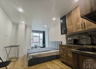 Продается квартира студия, 26 м2, Мурино, улица Шоссе в Лаврики, 63