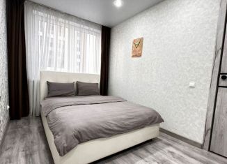 Сдается 1-ком. квартира, 45 м2, Екатеринбург, улица Готвальда, 24/4