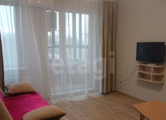 Сдаю в аренду квартиру студию, 30 м2, Ижевск, Районная улица, 57к1с1