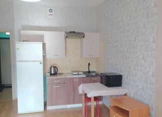 Сдается квартира студия, 25 м2, Мурино, бульвар Менделеева, 20, ЖК Гринландия