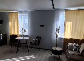 Сдаю квартиру студию, 22 м2, Пермь, Хлебозаводская улица, 22к4/2