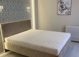 Сдаю 1-ком. квартиру, 40 м2, Ростов-на-Дону, улица Ткачёва, 23