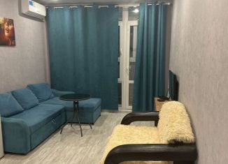 Сдача в аренду квартиры студии, 27 м2, Краснодар, бульвар Адмирала Пустошкина, 11/2