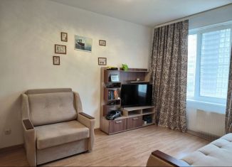 Аренда 1-ком. квартиры, 32 м2, Мурино, Петровский бульвар, 11к1, ЖК Гринландия