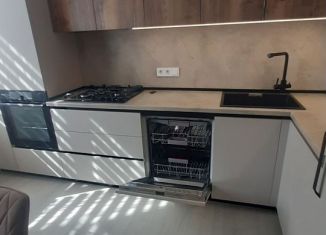 Сдается в аренду 2-комнатная квартира, 60 м2, село Белоглинка, Парковая улица