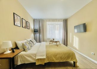 Сдается в аренду квартира студия, 25 м2, Колпино, Балканская дорога, 12к2