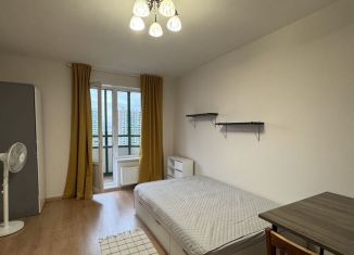 Квартира в аренду студия, 26 м2, Мурино, улица Шувалова, 9, ЖК Гринландия