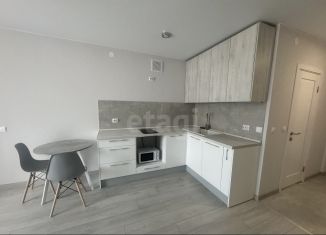 Сдаю в аренду квартиру студию, 23.5 м2, Череповец, Рыбинская улица, 2