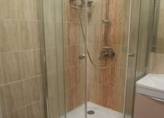 Сдается в аренду 1-ком. квартира, 39.5 м2, Благовещенск, Игнатьевское шоссе