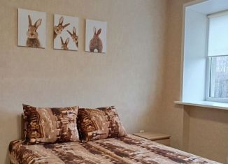 Сдаю в аренду 1-ком. квартиру, 18 м2, Липецк, улица Космонавтов, 22/1