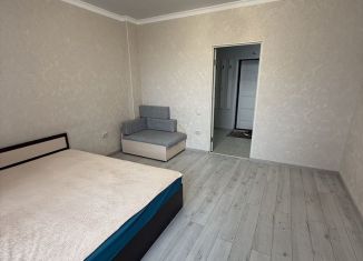 Сдается 1-комнатная квартира, 52 м2, Пятигорск, улица Нежнова, 52